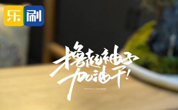 乐刷POS机的T+1、D+1、T+0、D+0、S+0到账都是什么意思？