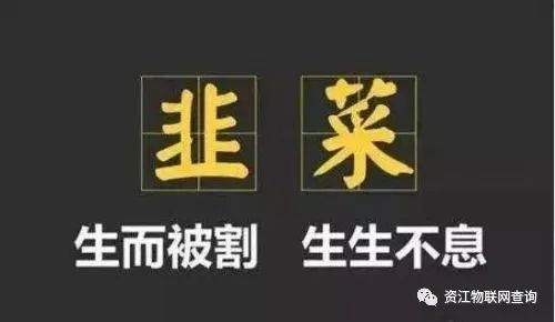 支付公司疯狂涨价的同时，韭菜们你们分了多少？拿客户换利润，赔？赚？